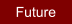 Future